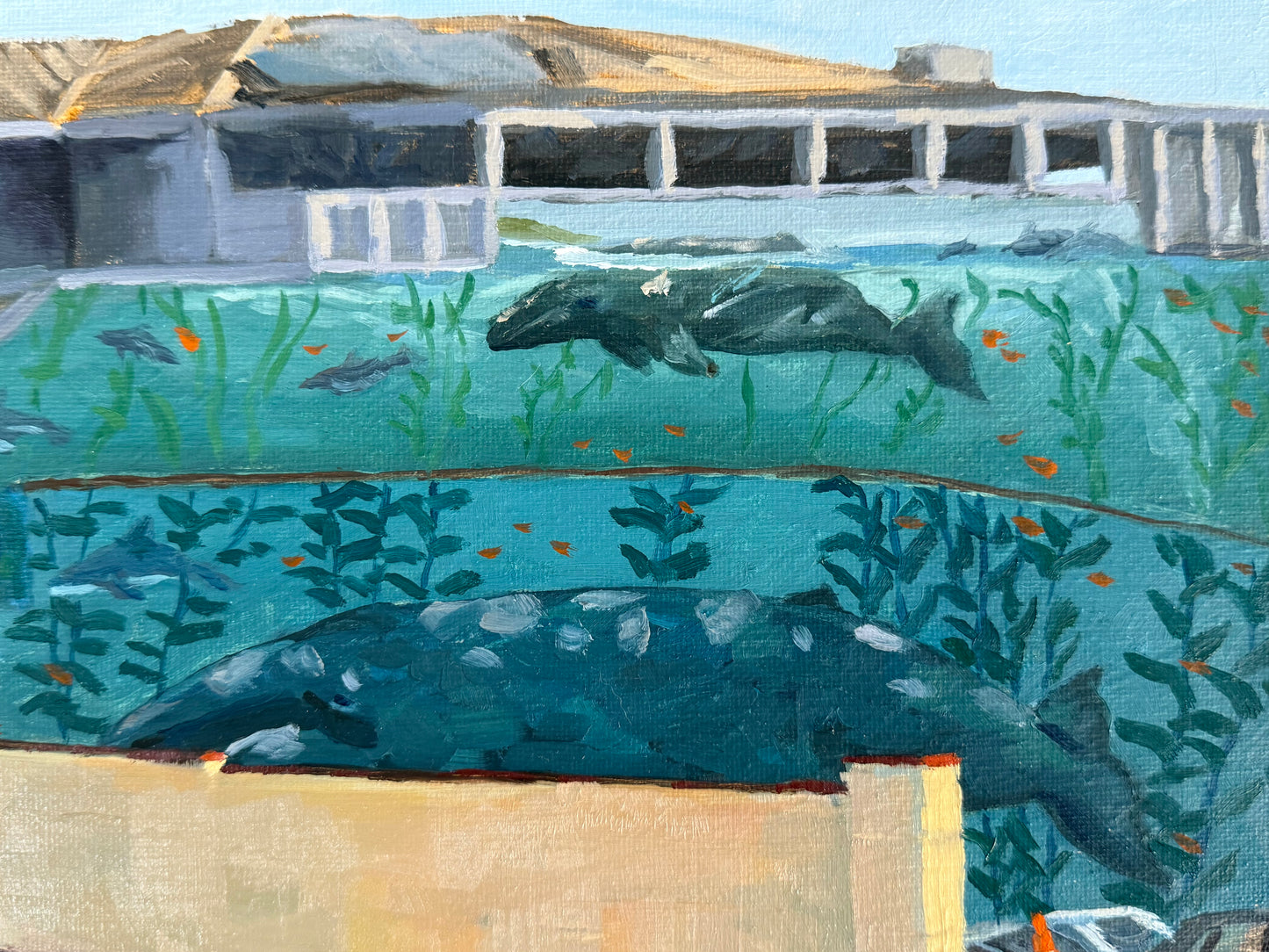 The Whaling Wall